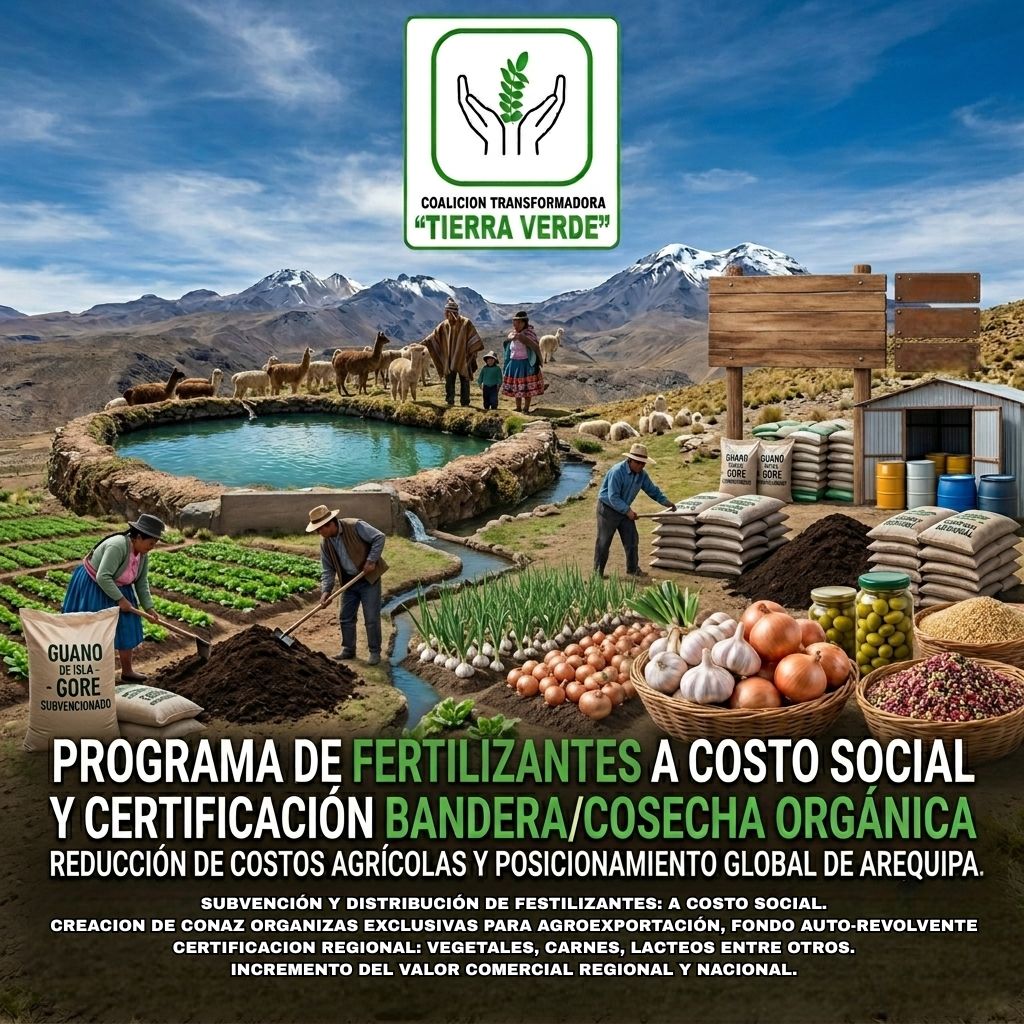 Imagen 10